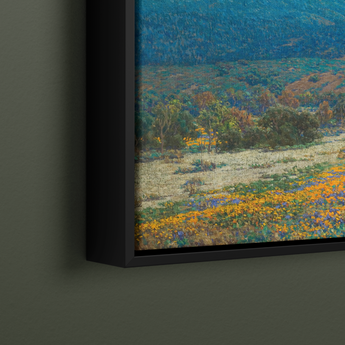 California Poppy Field