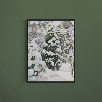 Juniper Tree in Snow