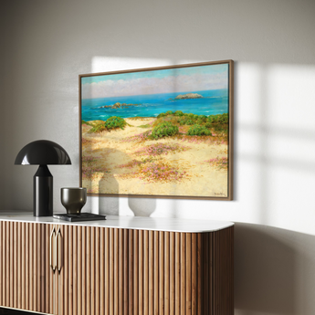 Monterey Coast; 17 Mile Drive (1919)